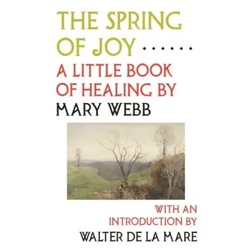 The Spring of Joy: A Little Book of Healing - Paperback H871-10776249434385