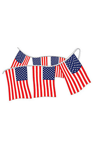 Plastic American Flag Pennantzoom