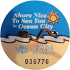 Ocean City NJ Beach Tag 2006 Photo Plaque
