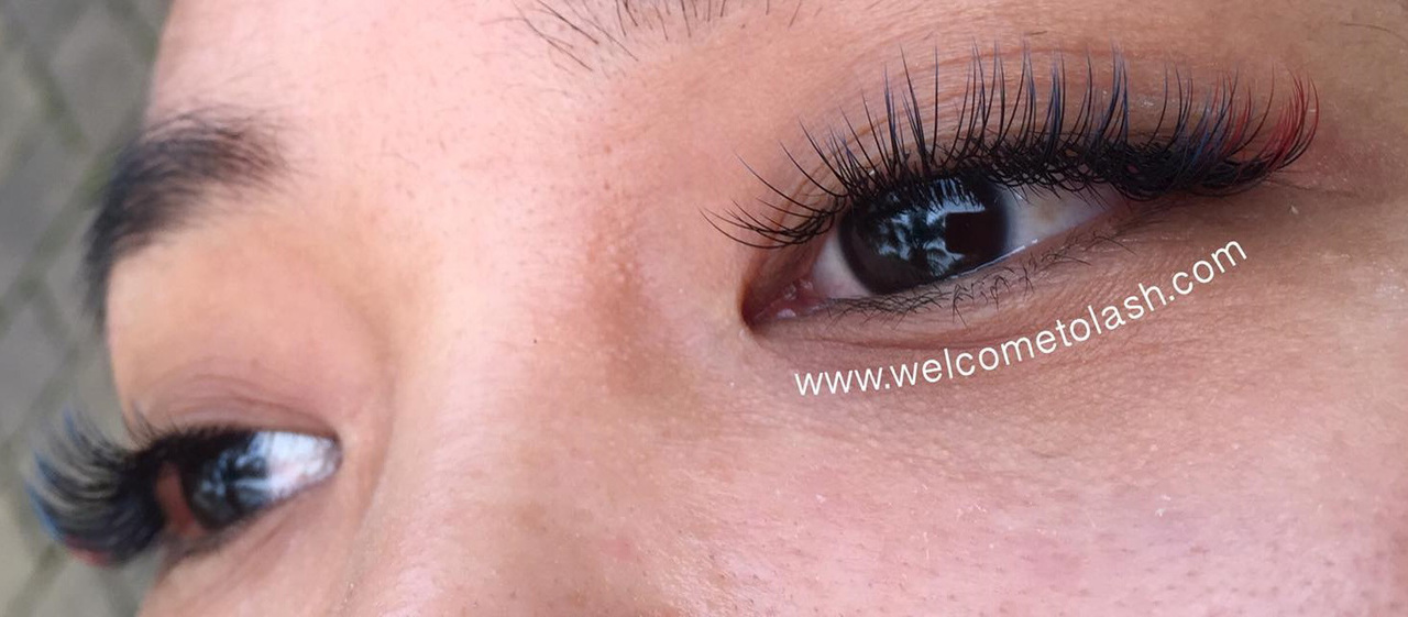 Single Two Tone Classic Cc Curl Premium Mink Eyelash Extension Tray 15 Or 20 Welcome To Lash Supply