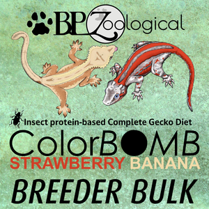 ColorBomb Gecko Diet BULK