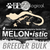MELONistic Gecko Diet BULK