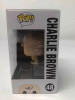 Funko POP! Animation Peanuts Charlie Brown #48 Vinyl Figure - (73510)