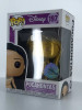 Funko POP! Pocahontas - (Gold) #197 Disney Store Exclusive Vinyl Figure - (86716)