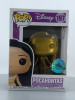 Funko POP! Pocahontas - (Gold) #197 Disney Store Exclusive Vinyl Figure - (86716)