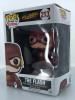 Funko POP! Television DC The Flash #213 Vinyl Figure - (90611)