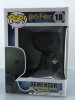 Funko POP! Harry Potter Dementor #18 Vinyl Figure - (94855)