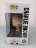 Funko POP! Animation Peanuts Charlie Brown #48 Vinyl Figure - (103083)