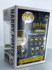 Funko POP! Harry Potter (with Gryffindor's Sword) #9 Vinyl Figure - (104238)