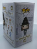 Funko POP! Harry Potter Hermione Granger with Sorting Hat #69 Vinyl Figure - (107920)