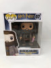Funko POP! Harry Potter Rubeus Hagrid (Supersized 6'') #7 Vinyl Figure - (143877)