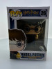 Funko POP! Harry Potter with Triwizard Egg #26 Target Exclusive Vinyl Figure - (185090)