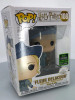 Funko POP! Harry Potter Fleur Delacour #108 BAM! Exclusive Vinyl Figure - (161877)