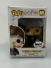 Funko POP! Harry Potter Seamus Finnigan #65 BAM! Exclusive Vinyl Figure - (192221)