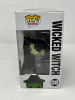 Wicked Witch (Metallic) #08 - (202151)