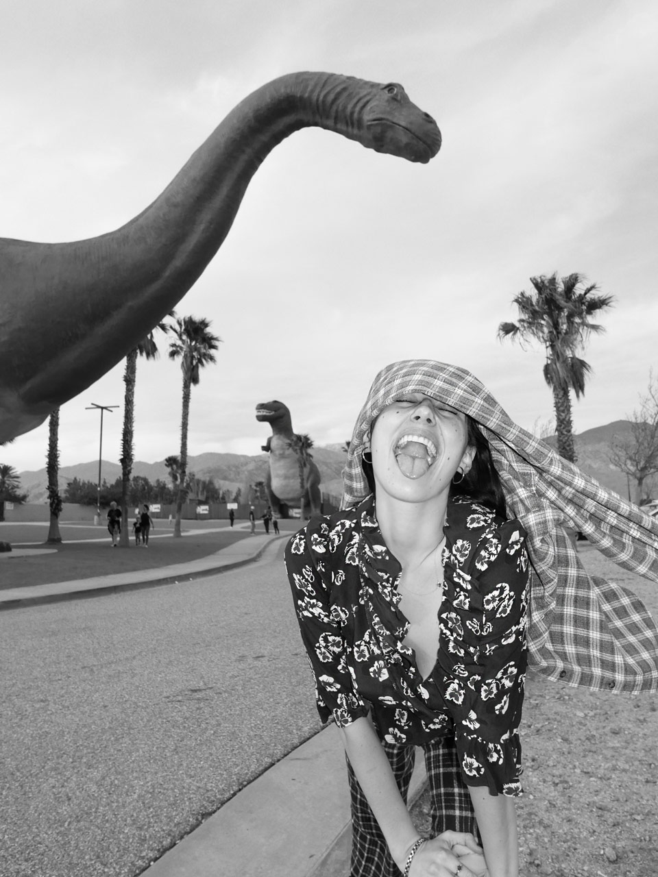 The Cher - Navy Pansy