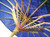 Blue Asian Parasol 22in