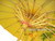 Yellow Asian Parasol 22in