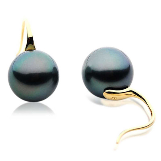 TE076 (AAA 13mm Tahitian Black Pearl Earrings In 18k Gold ) Pearl Earrings Pacific Pearls
