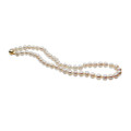 AN061 (AA 8mm Japanese Akoya Saltwater Pearl Necklace  14K Yellow Gold Clasp)