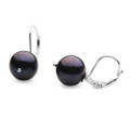 FE03P  (AAA 11mm Black Freshwater Cultured Pearl Earrings Hoops in Silver with 18k White Gold Points )