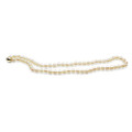 AN06P (AAA 5-5.5 mm White Japanese Akoya Saltwater Pearl Necklace with 14K Yellow Gold Clasp )