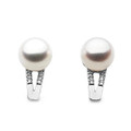 AE074 ( AAA 8 mm White Japanese Akoya Saltwater Pearl Earrings  In 18K White Gold )