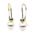 AE077 ( AAA 8 mm White Japanese Akoya Saltwater Pearl Earrings  In 18K Yellow Gold )