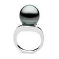 TR016S ( AA+ Large 13.5 mm Tahitian Black Pearl Ring In Silver )