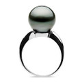 TR018S ( AA+ 13.5 mm Tahitian Black Pearl Ring in Silver )