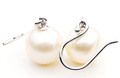 SE008a-1 ( AAA 10 mm Australian South Sea Pearl Earrings 18k White Gold )