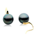 TE036 (AAA 12mm Tahitian Black Pearl Earrings In 18k Gold )