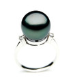 TR013 (AAA 11mm  Tahitian Black pearl diamond ring 18k White Gold)