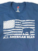 ALL AMERICAN BEAR