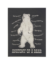 Anatomy of a Bear Print