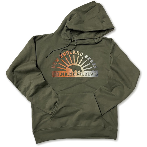 New England Bears Fade Print Hoodie (sale)