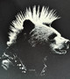 Punk Bear