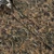 Poncho Tuff-Thread The Layout Blind Short Sleeve Shirt -