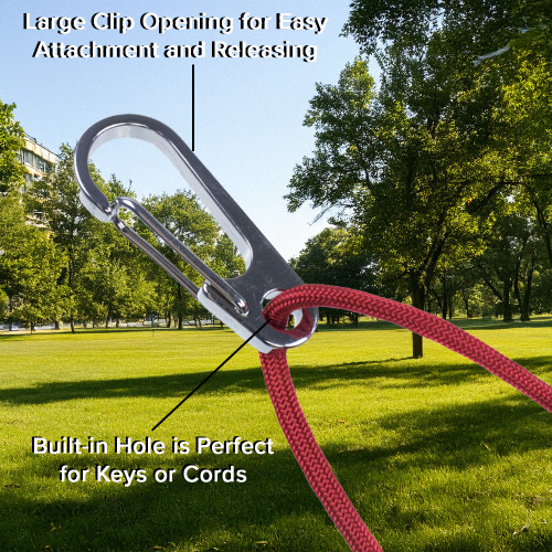Mini Clasp Carabiners