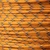 Monarch Orange with Prussian Blue X's -550