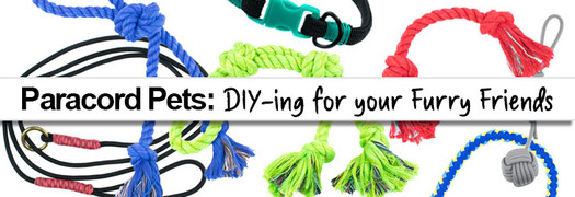 Paracord Pets: DIY-ing for your furry friends
