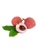 Wireless Mighty Mouse Lorem Ipsum