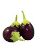Apple iPhone Lorem PixelSkinIpsum