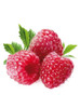 Apple iPhone Lorem PixelSkinIpsum