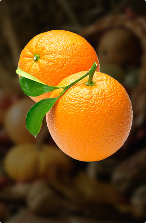 right-banner.01.jpg