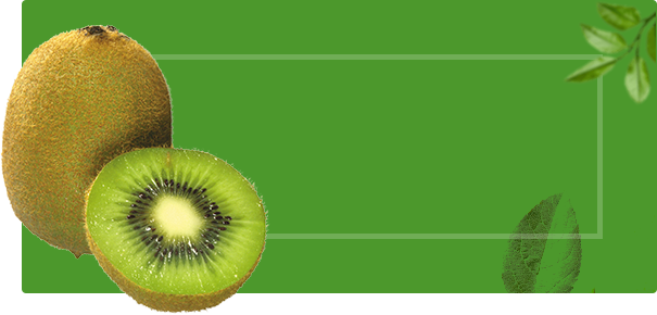 sub-banner-1.png