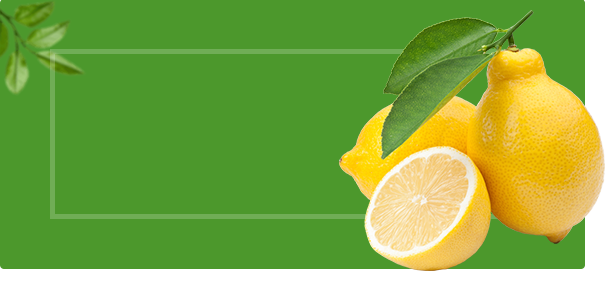sub-banner2.png