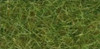 NOCH 07102 Wild Grass 6mm - Light Green 50g
