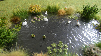 HSSP1 Duck Pond - Small