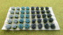 Self Adhesive Flowering Grass Clumps (40) Blue Mix